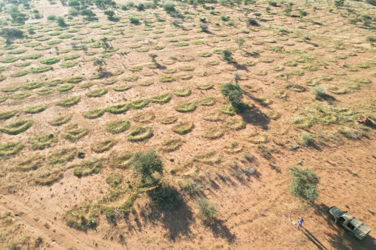 Climate Change and Land Degradation: A Collective Failure in Intervention&nbsp;Triage